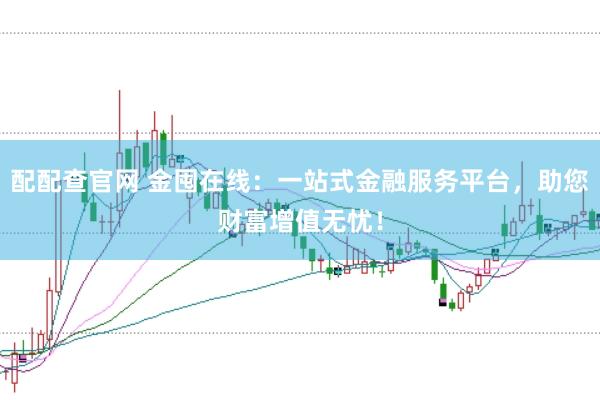 配配查官网 金囤在线：一站式金融服务平台，助您财富增值无忧！