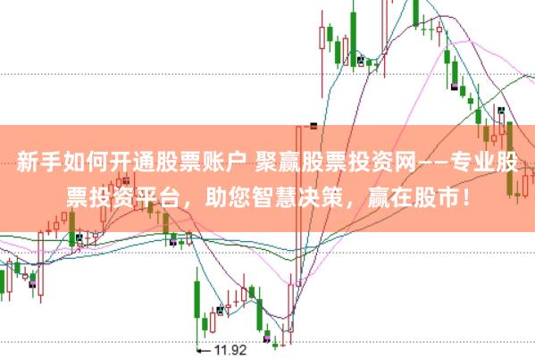 新手如何开通股票账户 聚赢股票投资网——专业股票投资平台，助您智慧决策，赢在股市！