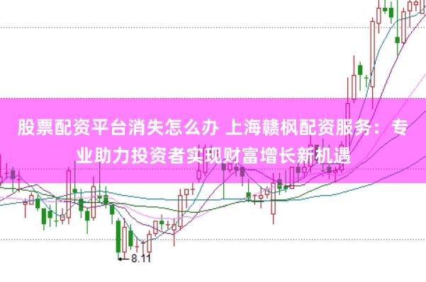 股票配资平台消失怎么办 上海赣枫配资服务：专业助力投资者实现财富增长新机遇
