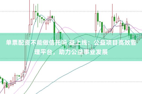 单票配资不能做信托吗 益上线：公益项目高效管理平台，助力公益事业发展