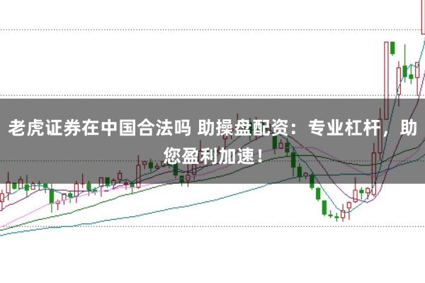 老虎证券在中国合法吗 助操盘配资：专业杠杆，助您盈利加速！