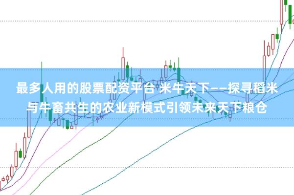 最多人用的股票配资平台 米牛天下——探寻稻米与牛畜共生的农业新模式引领未来天下粮仓