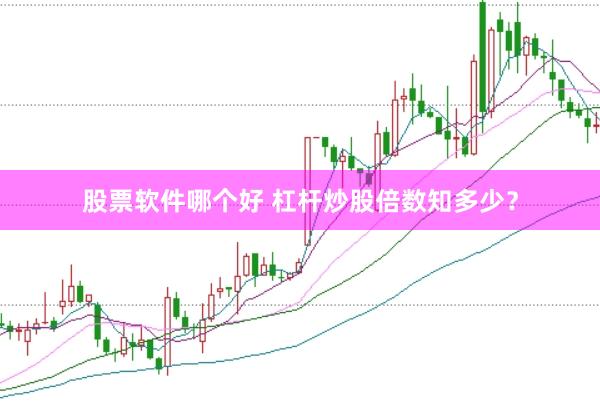股票软件哪个好 杠杆炒股倍数知多少?