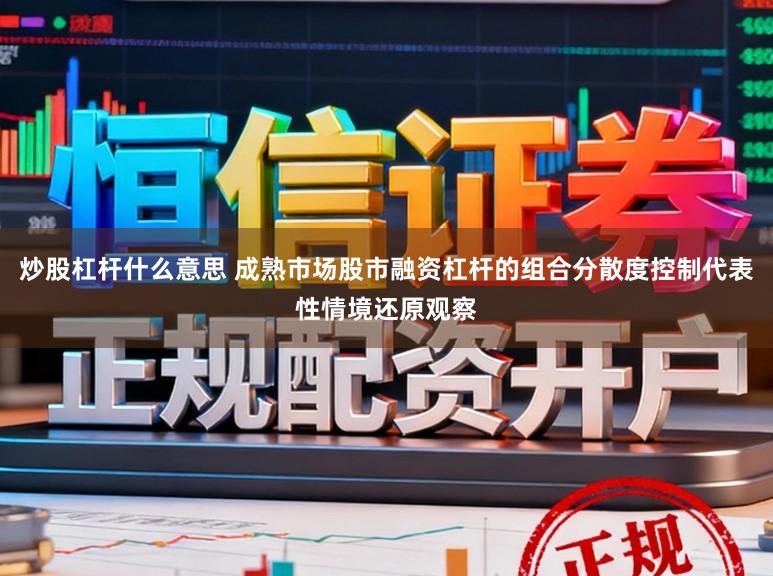 炒股杠杆什么意思 成熟市场股市融资杠杆的组合分散度控制代表性情境还原观察