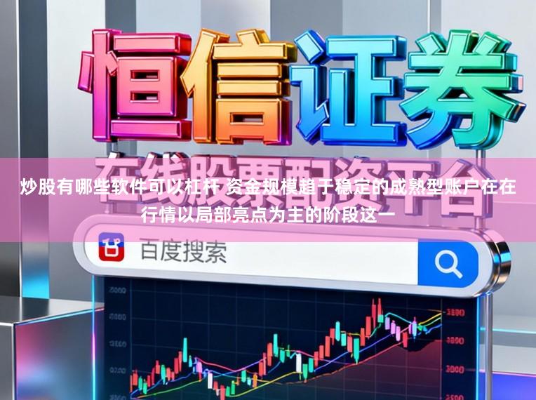炒股有哪些软件可以杠杆 资金规模趋于稳定的成熟型账户在在行情以局部亮点为主的阶段这一