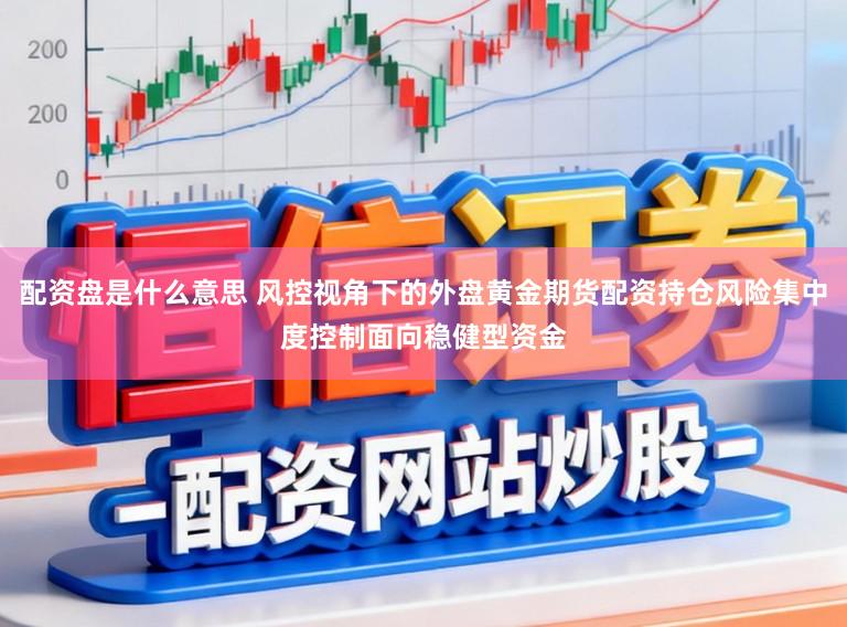 配资盘是什么意思 风控视角下的外盘黄金期货配资持仓风险集中度控制面向稳健型资金