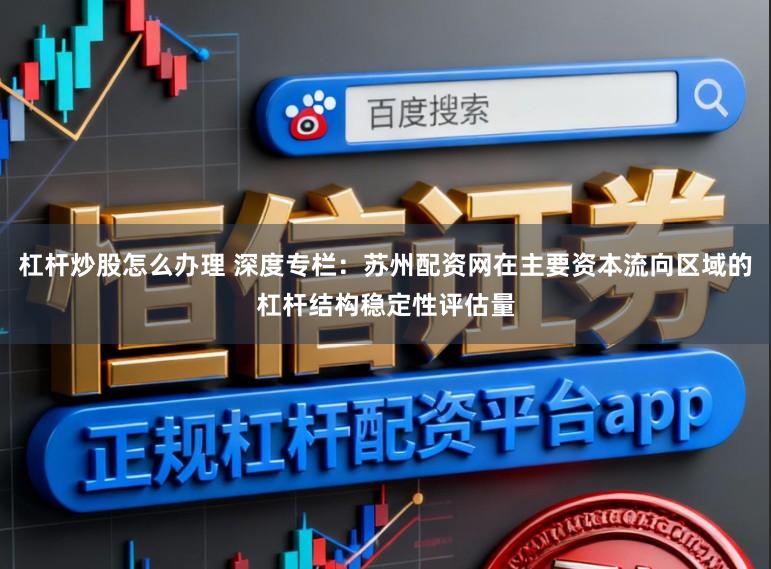 杠杆炒股怎么办理 深度专栏:苏州配资网在主要资本流向区域的杠杆结构稳定性评估量