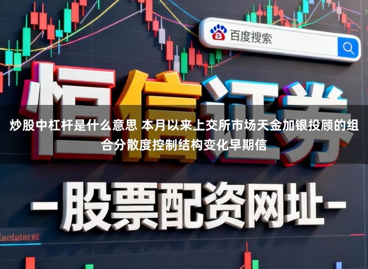 炒股中杠杆是什么意思 本月以来上交所市场天金加银投顾的组合分散度控制结构变化早期信