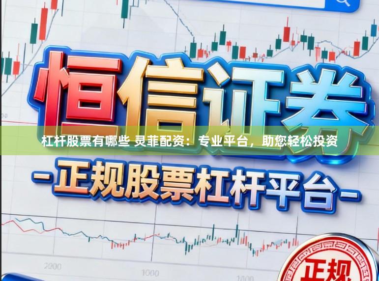 杠杆股票有哪些 灵菲配资：专业平台，助您轻松投资
